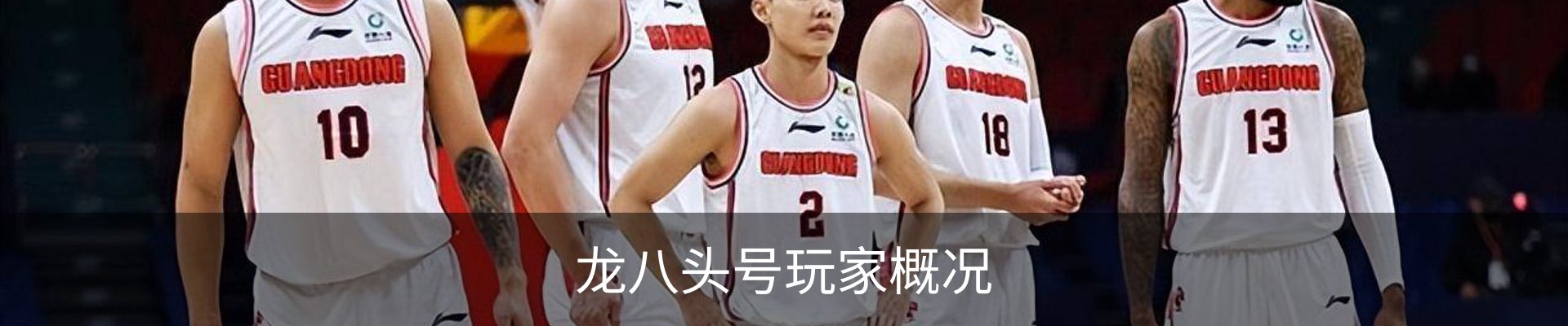 龙八头号玩家概况